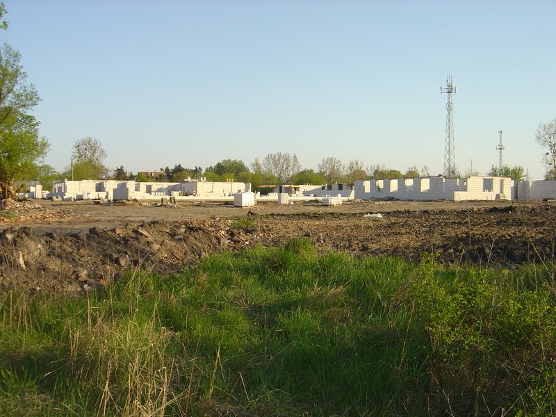 26 kwietnia - Delfina78