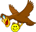 gniewoceanu2